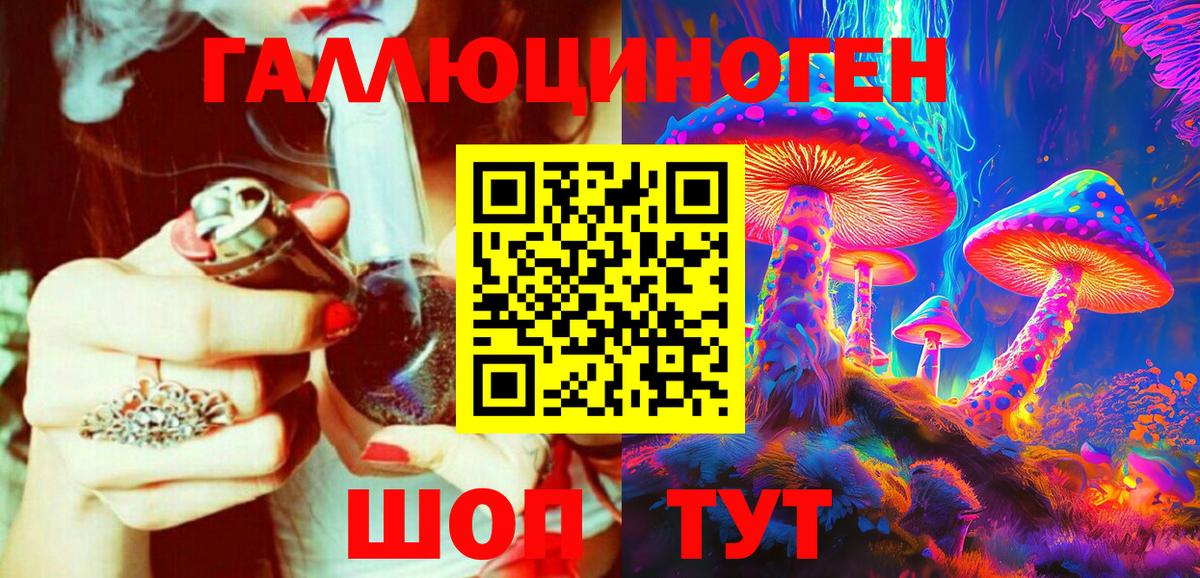 купить   Вход с VPN  Псилоцибиновые грибы GOLDEN TEACHER  Рязань  Галлюциногенные грибы прущие грибы 