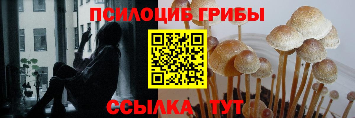 Псилоцибиновые грибы MAGIC MUSHROOMS Рязань